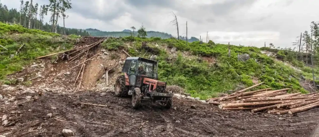 Logging-in-Slovakian-protected-areas-22731